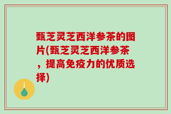甄芝灵芝西洋参茶的图片(甄芝灵芝西洋参茶，提高免疫力的优质选择)