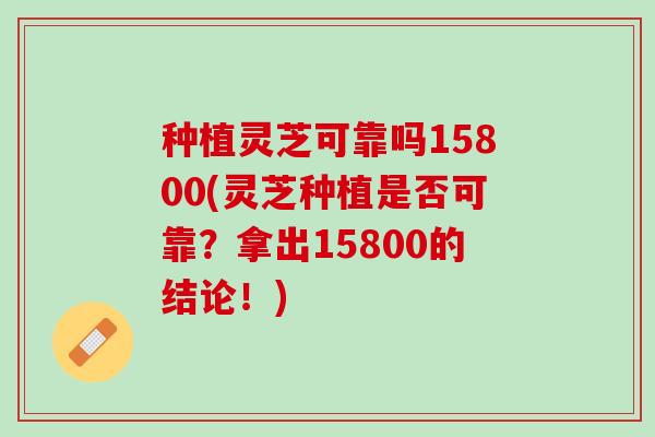 种植灵芝可靠吗15800(灵芝种植是否可靠？拿出15800的结论！)