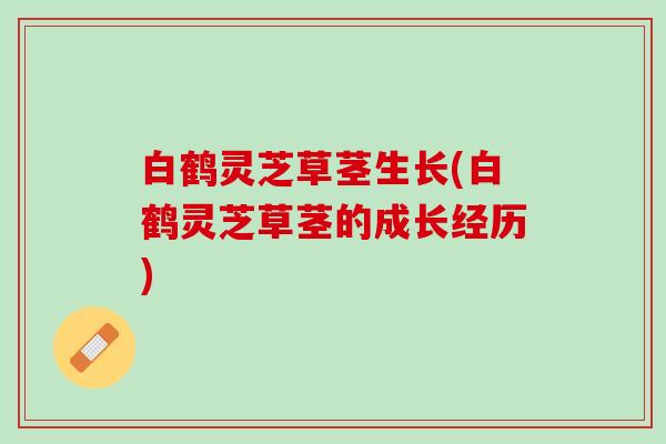 白鹤灵芝草茎生长(白鹤灵芝草茎的成长经历)