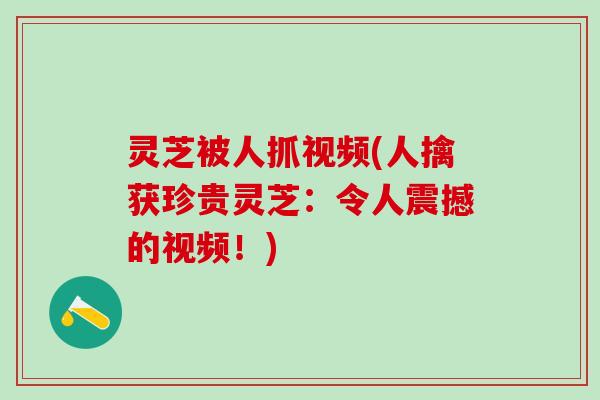 灵芝被人抓视频(人擒获珍贵灵芝：令人震撼的视频！)