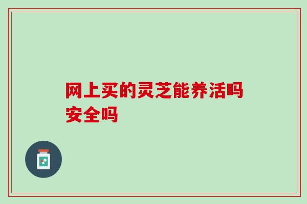 网上买的灵芝能养活吗安全吗