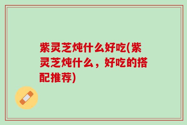 紫灵芝炖什么好吃(紫灵芝炖什么，好吃的搭配推荐)
