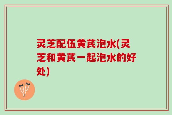 灵芝配伍黄芪泡水(灵芝和黄芪一起泡水的好处)