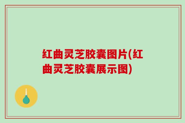 红曲灵芝胶囊图片(红曲灵芝胶囊展示图)