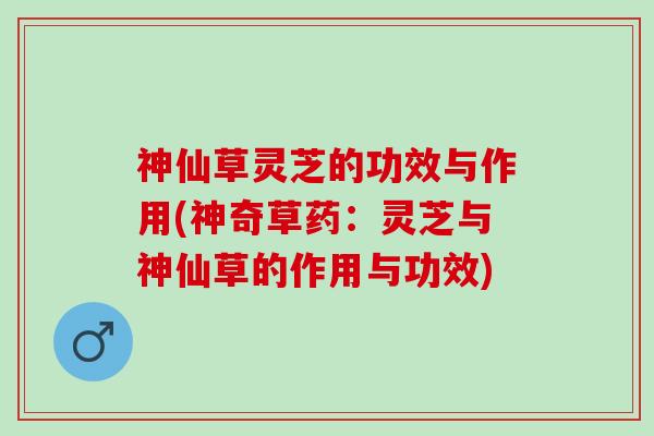 神仙草灵芝的功效与作用(神奇草药：灵芝与神仙草的作用与功效)