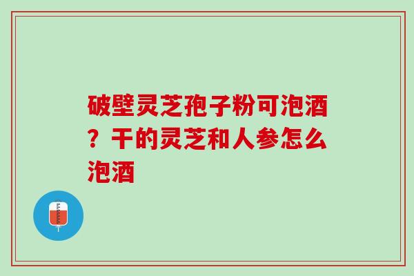 破壁灵芝孢子粉可泡酒？干的灵芝和人参怎么泡酒
