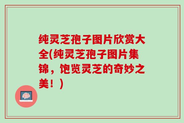 纯灵芝孢子图片欣赏大全(纯灵芝孢子图片集锦,饱览灵芝的奇妙之美!) 纯灵芝孢子图片欣赏大全(纯灵芝孢子图片集锦,饱览灵芝的奇妙之美!)