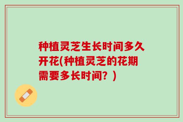 种植灵芝生长时间多久开花(种植灵芝的花期需要多长时间?) 种植灵芝生长时间多久开花(种植灵芝的花期需要多长时间?)