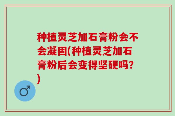 种植灵芝加石膏粉会不会凝固(种植灵芝加石膏粉后会变得坚硬吗?) 种植灵芝加石膏粉会不会凝固(种植灵芝加石膏粉后会变得坚硬吗?)