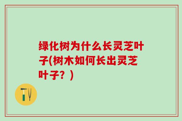 绿化树为什么长灵芝叶子(树木如何长出灵芝叶子？)