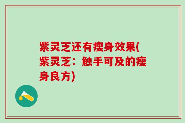 紫灵芝还有瘦身效果(紫灵芝：触手可及的瘦身良方)