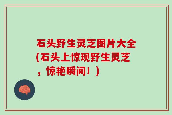 石头野生灵芝图片大全(石头上惊现野生灵芝，惊艳瞬间！)