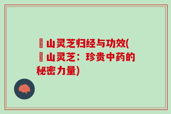 矷山灵芝归经与功效(矷山灵芝：珍贵的秘密力量)