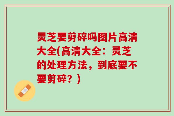 灵芝要剪碎吗图片高清大全(高清大全:灵芝的处理方法,到底要不要剪碎?) 灵芝要剪碎吗图片高清大全(高清大全:灵芝的处理方法,到底要不要剪碎?)