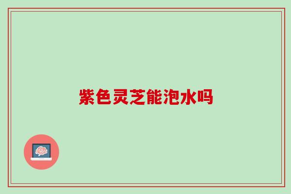 紫色灵芝能泡水吗 紫色灵芝能泡水吗
