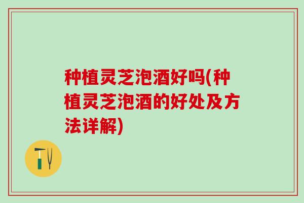 种植灵芝泡酒好吗(种植灵芝泡酒的好处及方法详解)