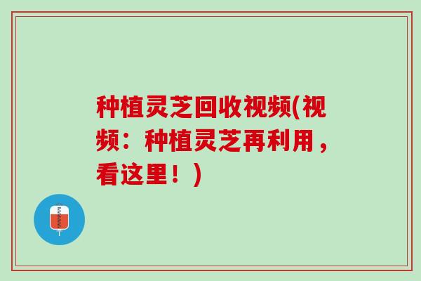 种植灵芝回收视频(视频：种植灵芝再利用，看这里！)
