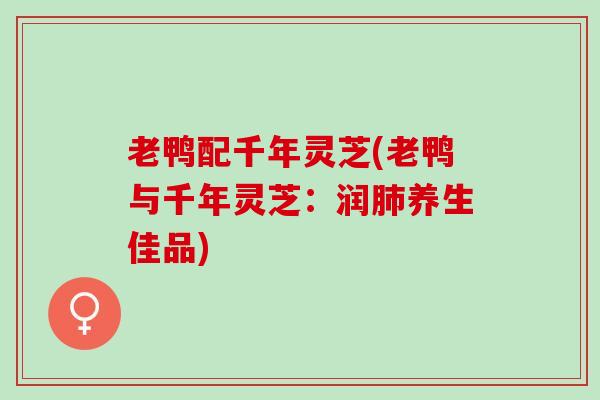 老鸭配千年灵芝(老鸭与千年灵芝：润肺养生佳品)