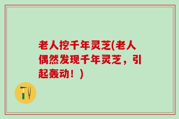老人挖千年灵芝(老人偶然发现千年灵芝，引起轰动！)