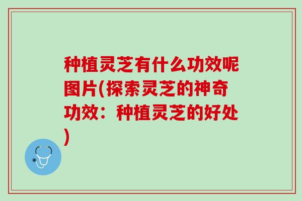 种植灵芝有什么功效呢图片(探索灵芝的神奇功效：种植灵芝的好处)