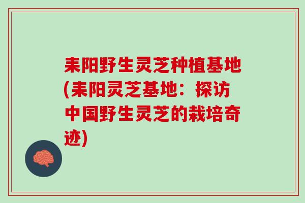 耒阳野生灵芝种植基地(耒阳灵芝基地：探访中国野生灵芝的栽培奇迹)