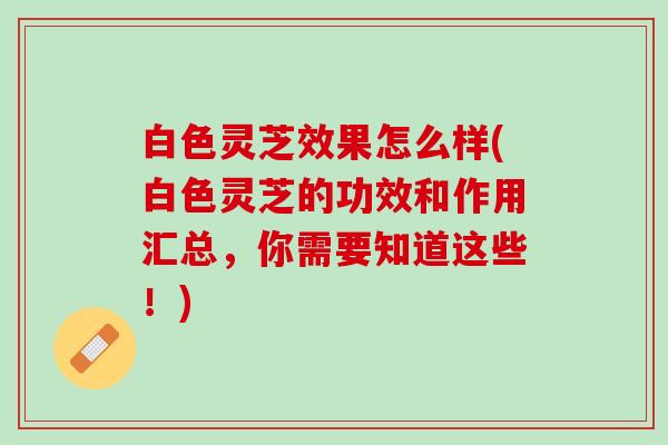 白色灵芝效果怎么样(白色灵芝的功效和作用汇总，你需要知道这些！)