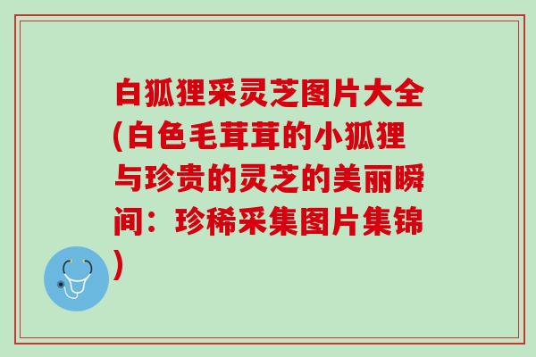 白狐狸采灵芝图片大全(白色毛茸茸的小狐狸与珍贵的灵芝的美丽瞬间：珍稀采集图片集锦)