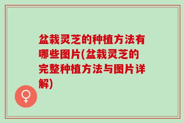 盆栽灵芝的种植方法有哪些图片(盆栽灵芝的完整种植方法与图片详解)