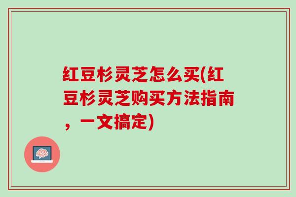 红豆杉灵芝怎么买(红豆杉灵芝购买方法指南，一文搞定)