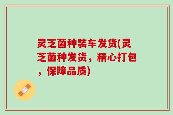 灵芝菌种装车发货(灵芝菌种发货,精心打包,保障品质) 灵芝菌种装车发货(灵芝菌种发货,精心打包,保障品质)