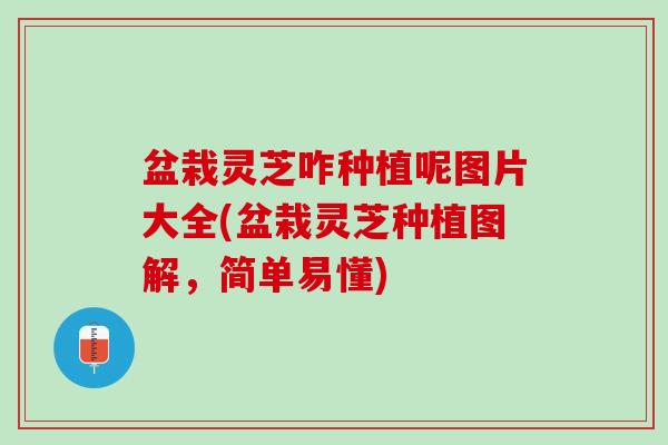 盆栽灵芝咋种植呢图片大全(盆栽灵芝种植图解，简单易懂)