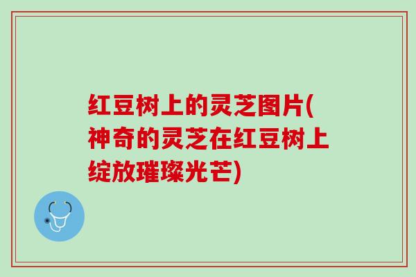 红豆树上的灵芝图片(神奇的灵芝在红豆树上绽放璀璨光芒) 红豆树上的灵芝图片(神奇的灵芝在红豆树上绽放璀璨光芒)