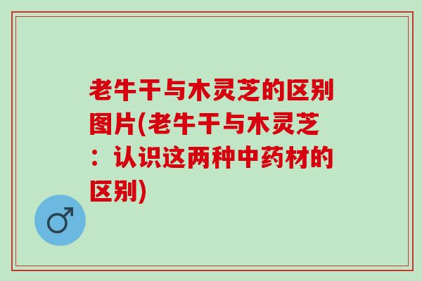 老牛干与木灵芝的区别图片(老牛干与木灵芝:认识这两种材的区别) 老牛干与木灵芝的区别图片(老牛干与木灵芝:认识这两种材的区别)
