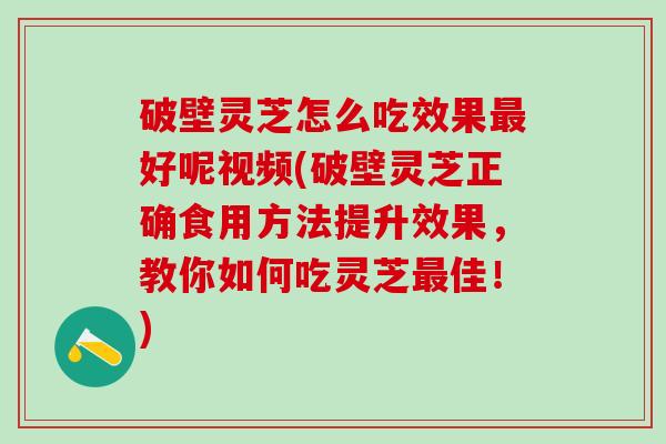 破壁灵芝怎么吃效果最好呢视频(破壁灵芝正确食用方法提升效果，教你如何吃灵芝最佳！)