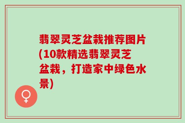 翡翠灵芝盆栽推荐图片(10款精选翡翠灵芝盆栽，打造家中绿色水景)