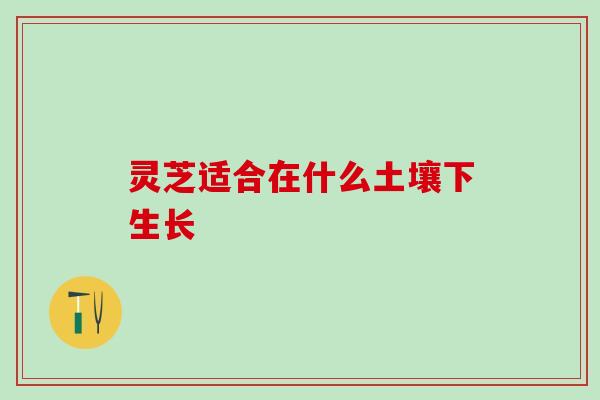灵芝适合在什么土壤下生长