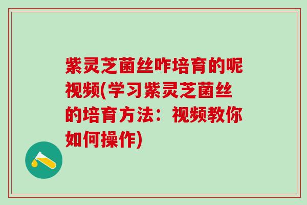 紫灵芝菌丝咋培育的呢视频(学习紫灵芝菌丝的培育方法：视频教你如何操作)