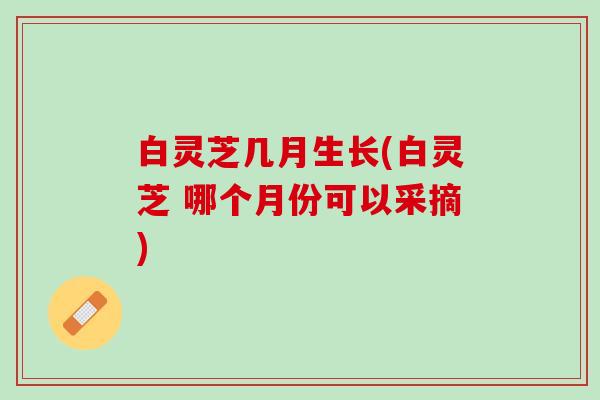 白灵芝几月生长(白灵芝 哪个月份可以采摘)
