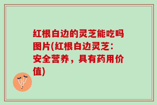 红根白边的灵芝能吃吗图片(红根白边灵芝：安全营养，具有药用价值)