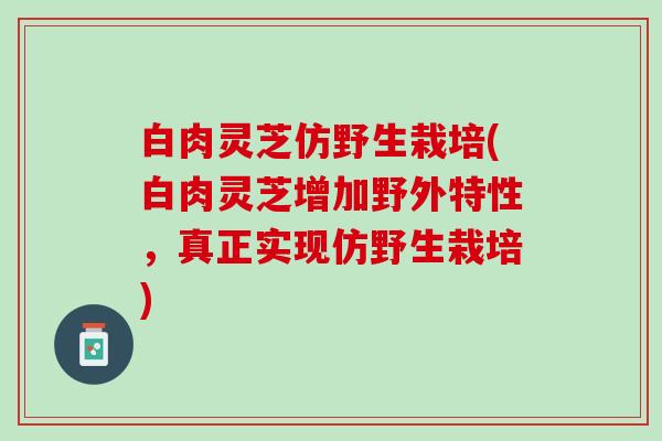 白肉灵芝仿野生栽培(白肉灵芝增加野外特性，真正实现仿野生栽培)