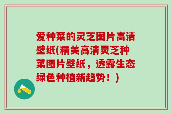 爱种菜的灵芝图片高清壁纸(精美高清灵芝种菜图片壁纸，透露生态绿色种植新趋势！)