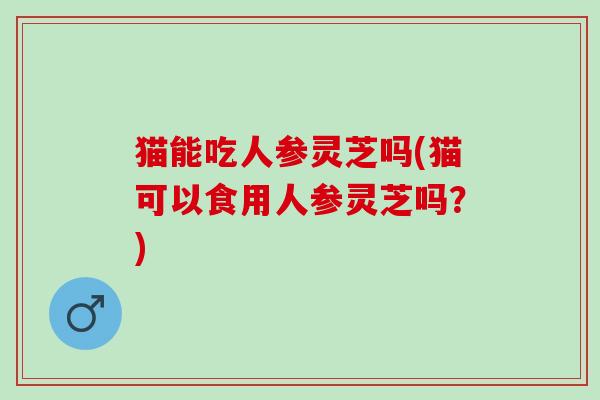 猫能吃人参灵芝吗(猫可以食用人参灵芝吗？)