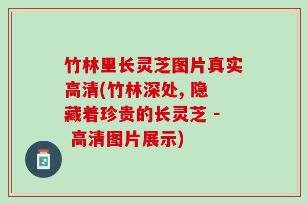 竹林里长灵芝图片真实高清(竹林深处, 隐藏着珍贵的长灵芝 - 高清图片展示)