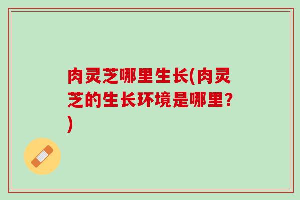 肉灵芝哪里生长(肉灵芝的生长环境是哪里？)