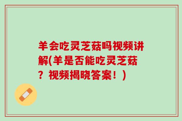 羊会吃灵芝菇吗视频讲解(羊是否能吃灵芝菇？视频揭晓答案！)