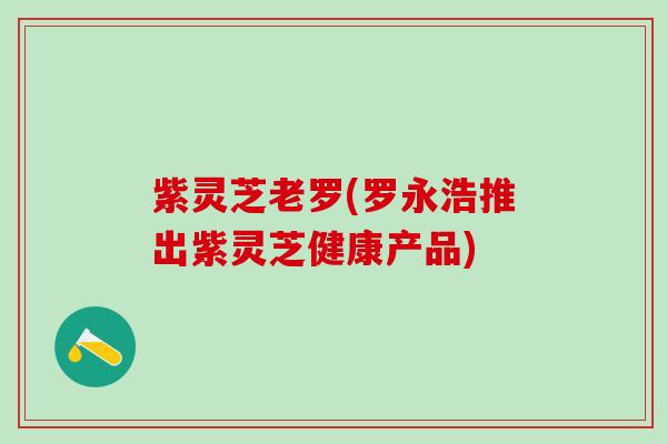 紫灵芝老罗(罗永浩推出紫灵芝健康产品)