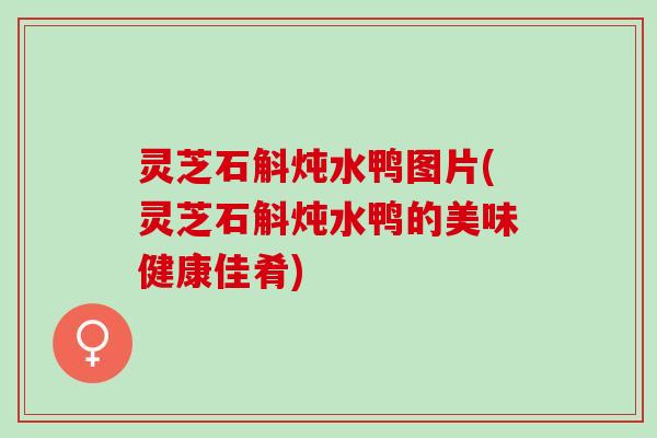 灵芝石斛炖水鸭图片(灵芝石斛炖水鸭的美味健康佳肴)