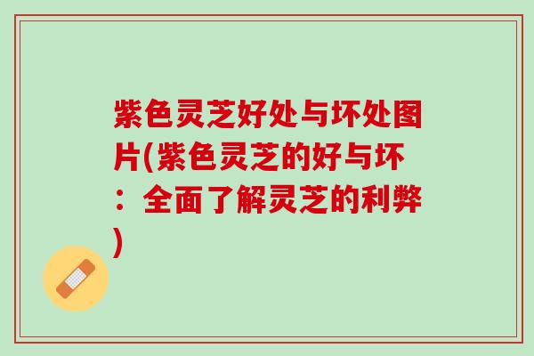 紫色灵芝好处与坏处图片(紫色灵芝的好与坏：全面了解灵芝的利弊)