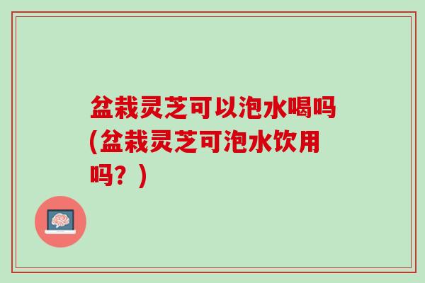 盆栽灵芝可以泡水喝吗(盆栽灵芝可泡水饮用吗？)