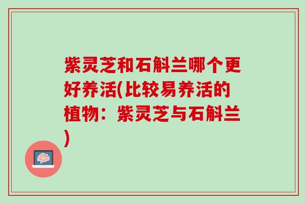 紫灵芝和石斛兰哪个更好养活(比较易养活的植物：紫灵芝与石斛兰)